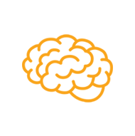 Cognitive development